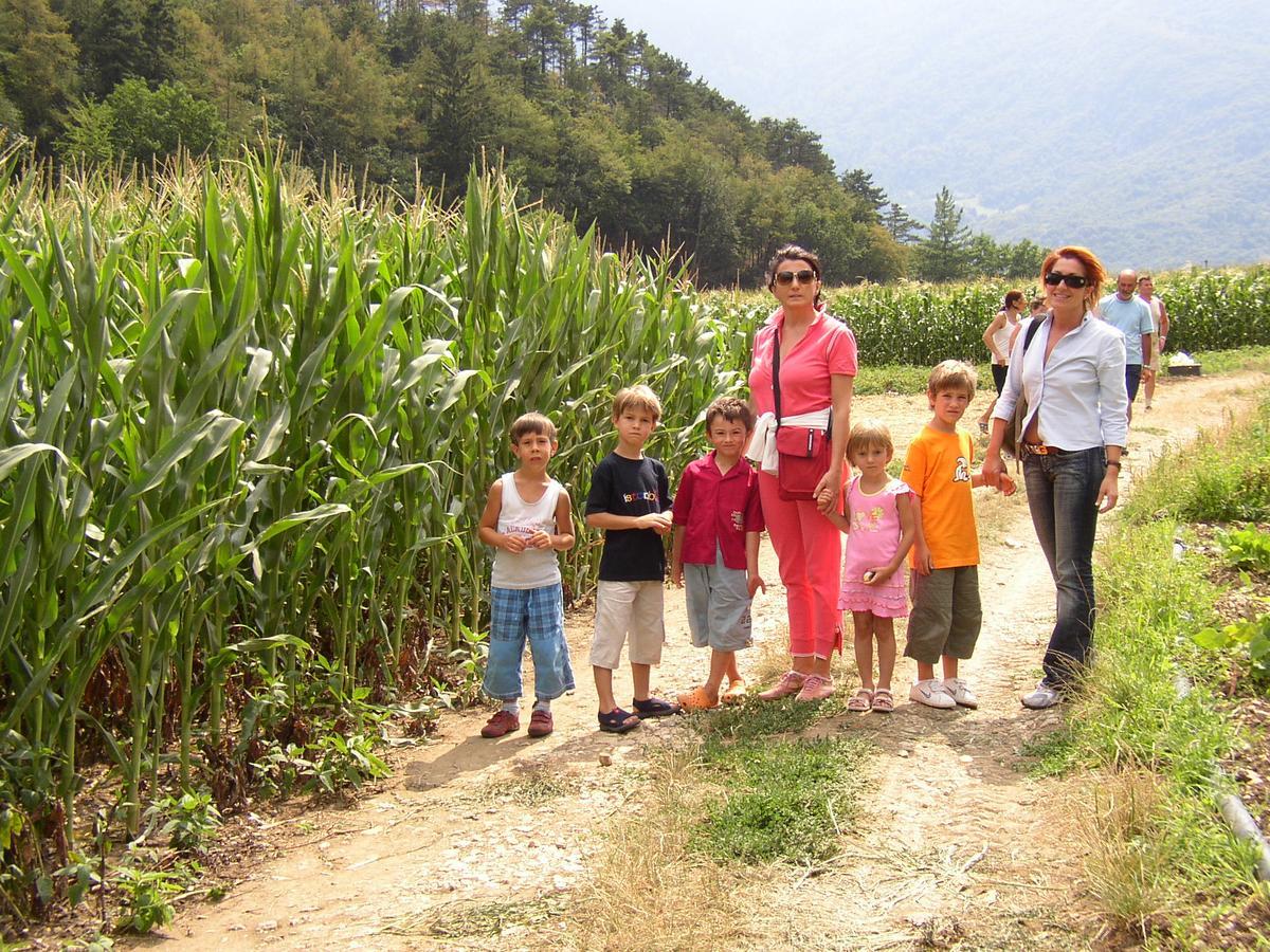 Ca' Dei Boieti Casa Vacanze Ronzo-Chienis Εξωτερικό φωτογραφία
